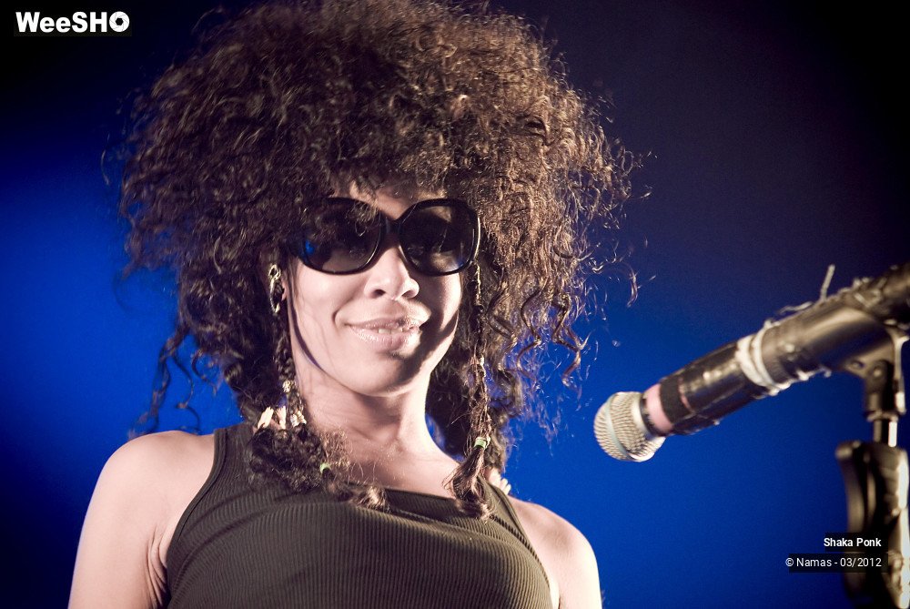 1/49 photos du spectacle Shaka Ponk