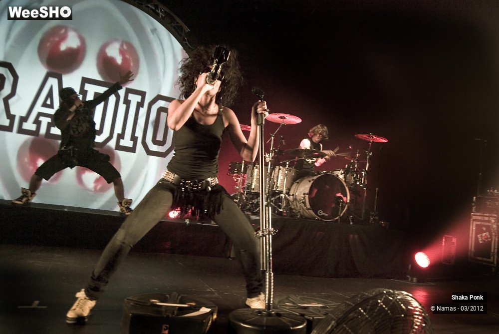 6/49 photos du spectacle Shaka Ponk