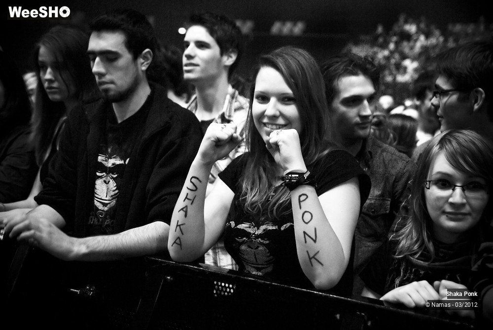 8/49 photos du spectacle Shaka Ponk