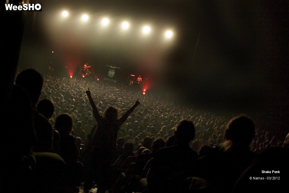 11/49 photos du spectacle Shaka Ponk