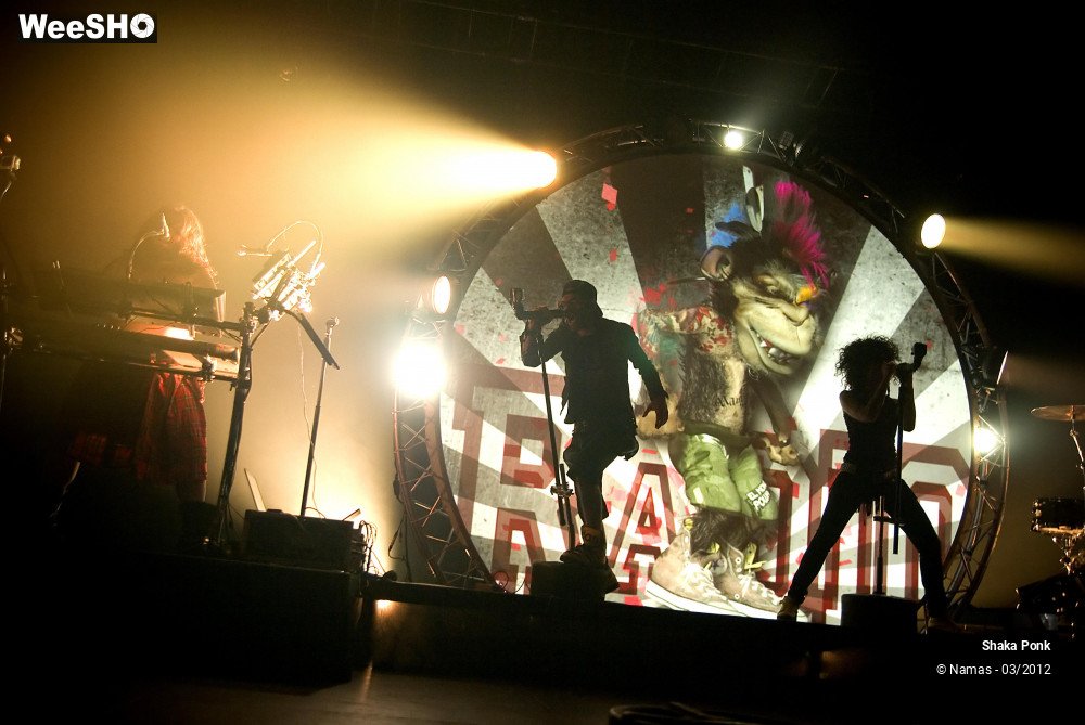 13/49 photos du spectacle Shaka Ponk