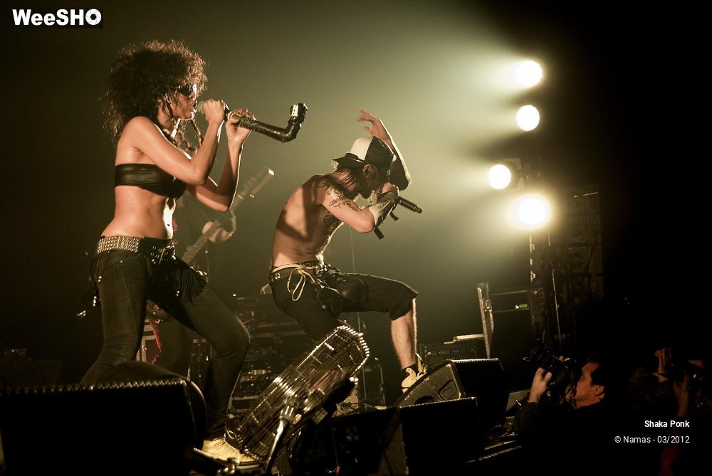 14/49 photos du spectacle Shaka Ponk