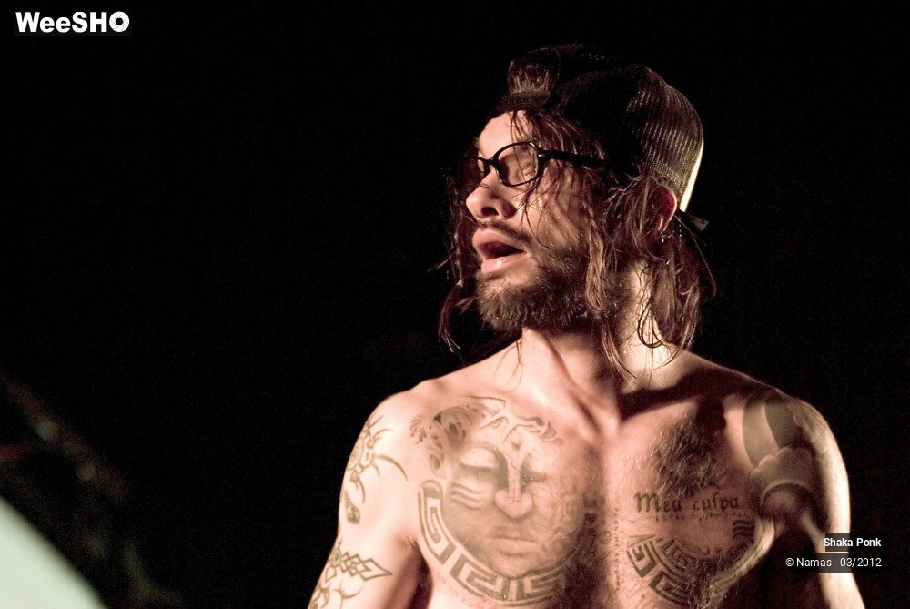 17/49 photos du spectacle Shaka Ponk