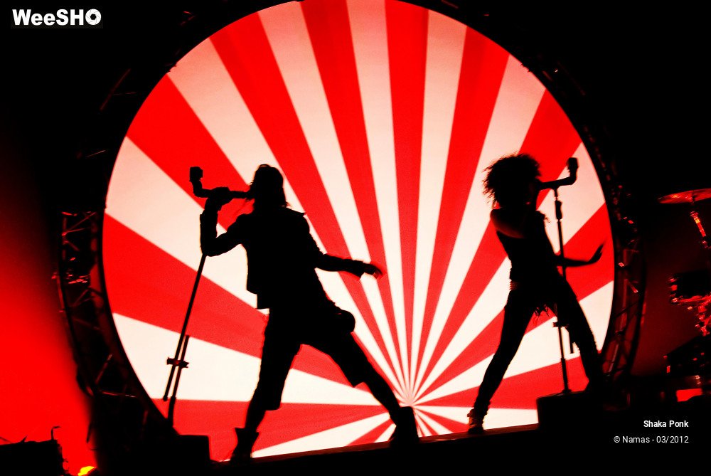 23/49 photos du spectacle Shaka Ponk