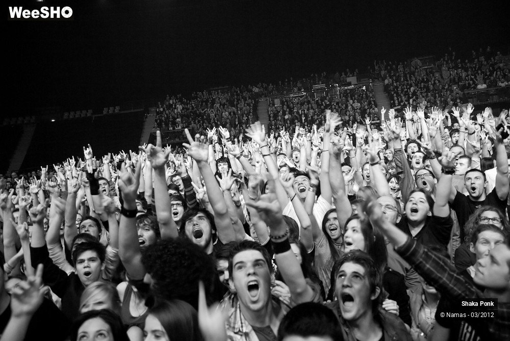 24/49 photos du spectacle Shaka Ponk
