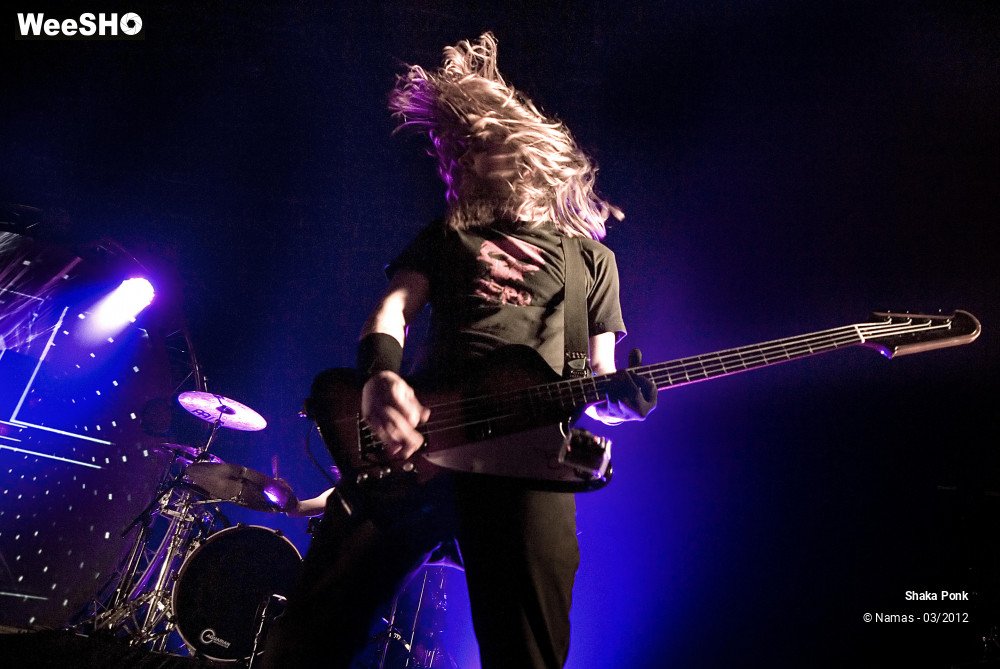 29/49 photos du spectacle Shaka Ponk