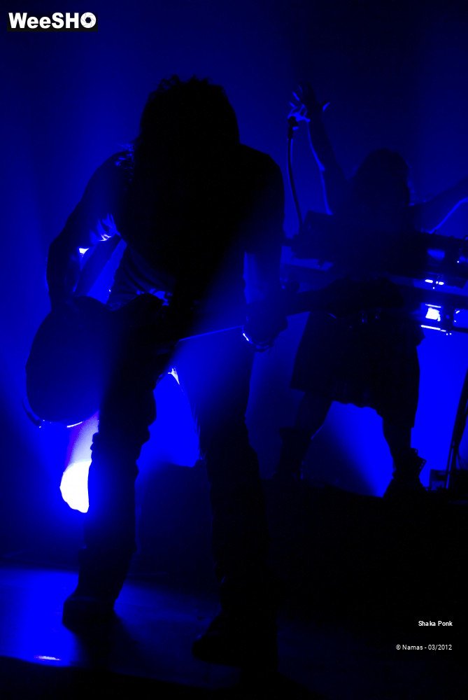 34/49 photos du spectacle Shaka Ponk