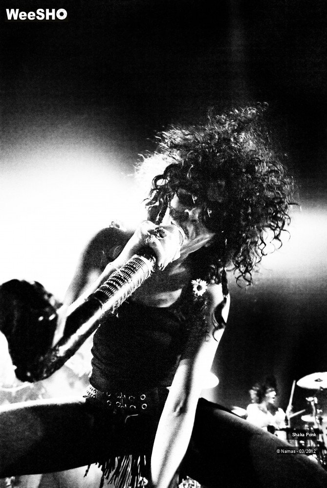 37/49 photos du spectacle Shaka Ponk