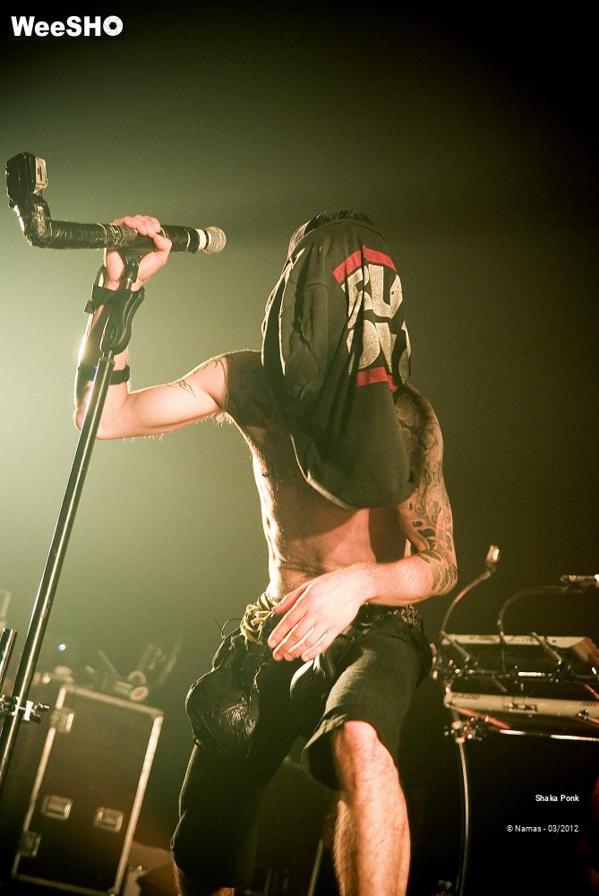 38/49 photos du spectacle Shaka Ponk