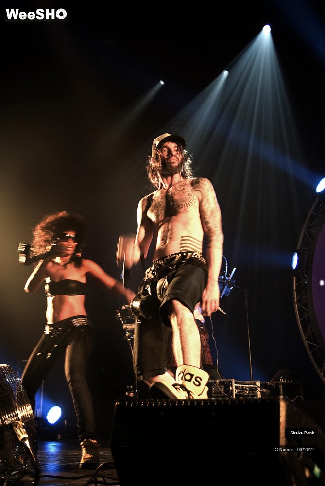 39/49 photos du spectacle Shaka Ponk