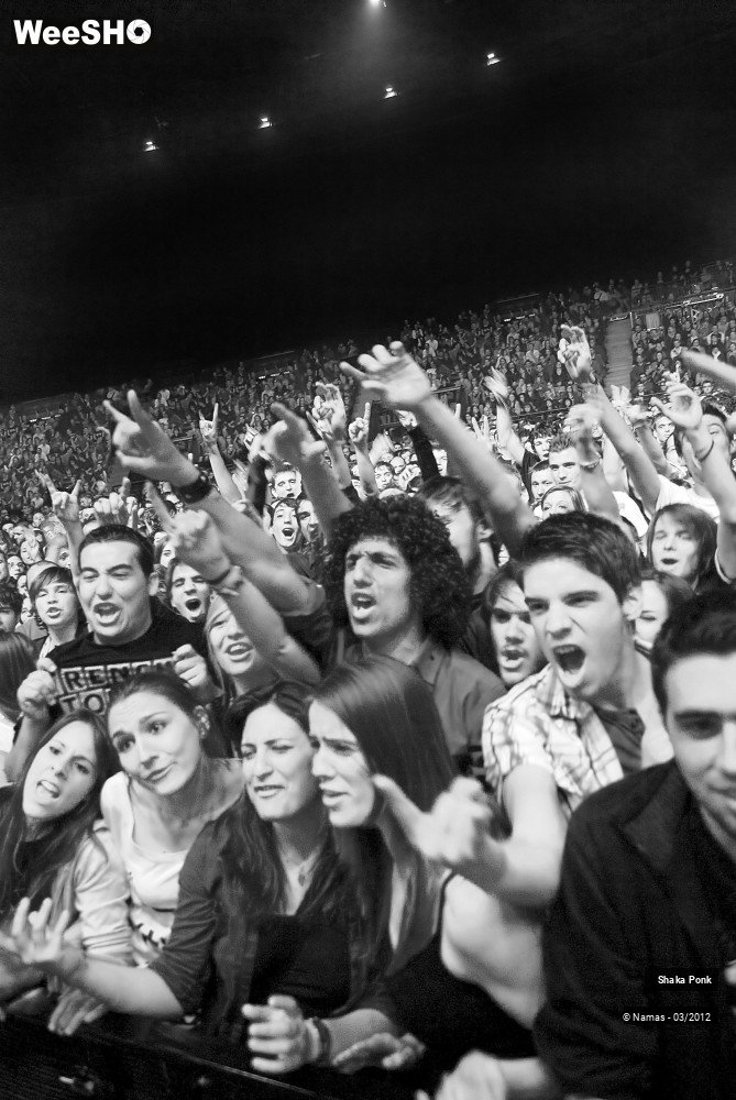 41/49 photos du spectacle Shaka Ponk