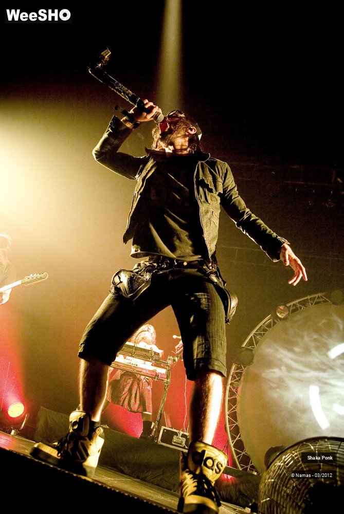 45/49 photos du spectacle Shaka Ponk