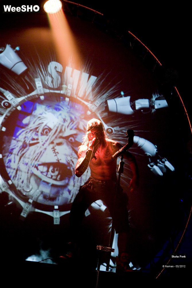 46/49 photos du spectacle Shaka Ponk