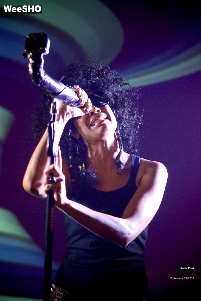 48/49 photos du spectacle Shaka Ponk