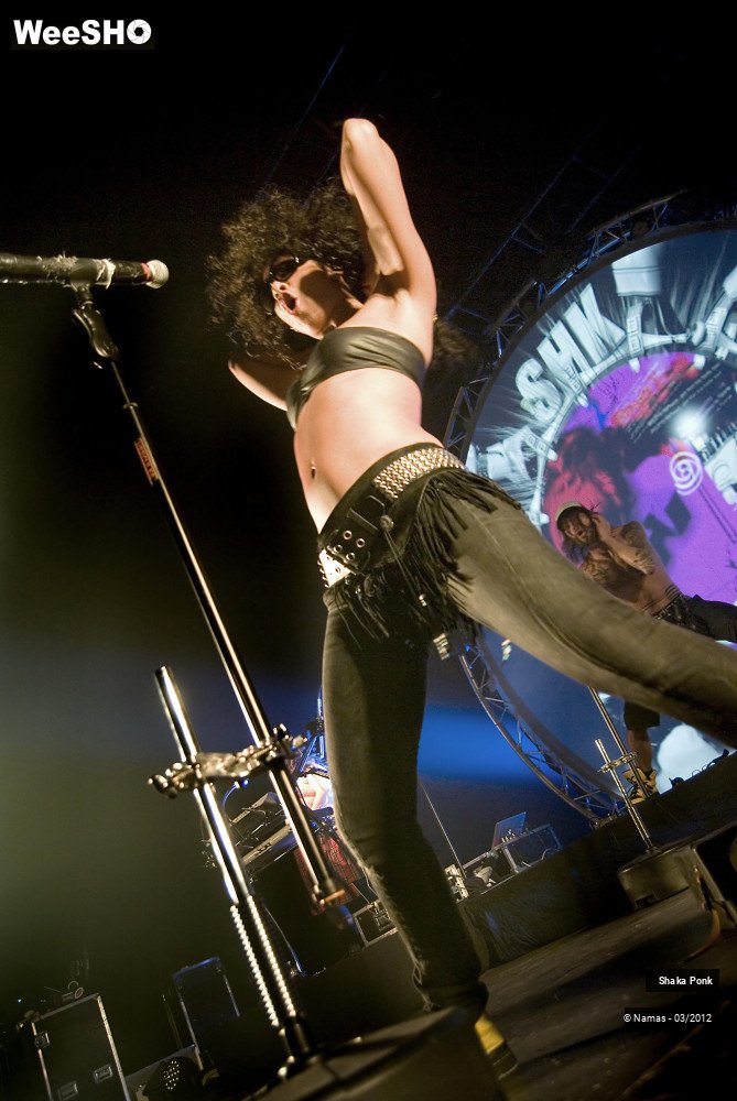 49/49 photos du spectacle Shaka Ponk