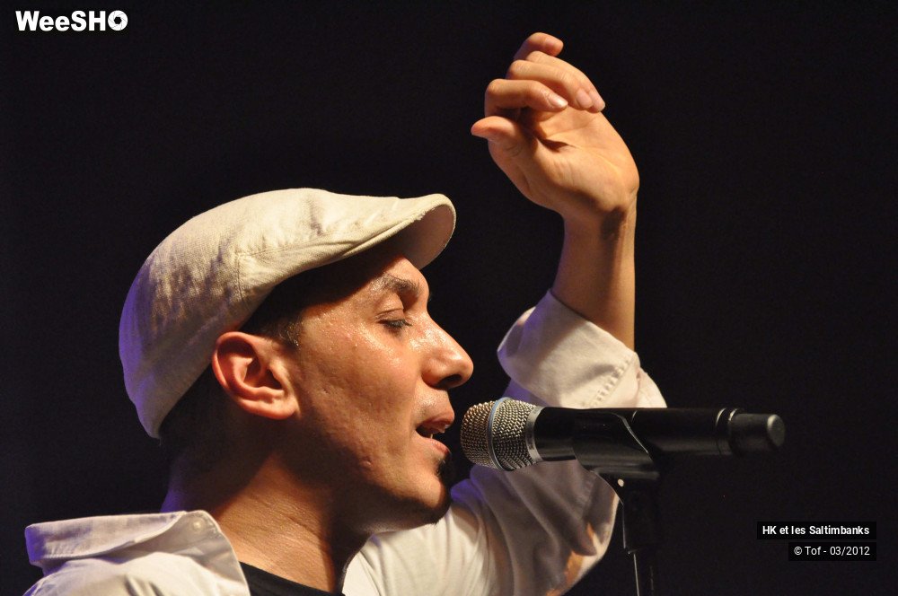 29/50 photos du spectacle HK et les Saltimbanks