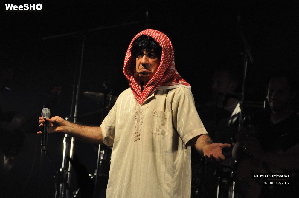 30/50 photos du spectacle HK et les Saltimbanks