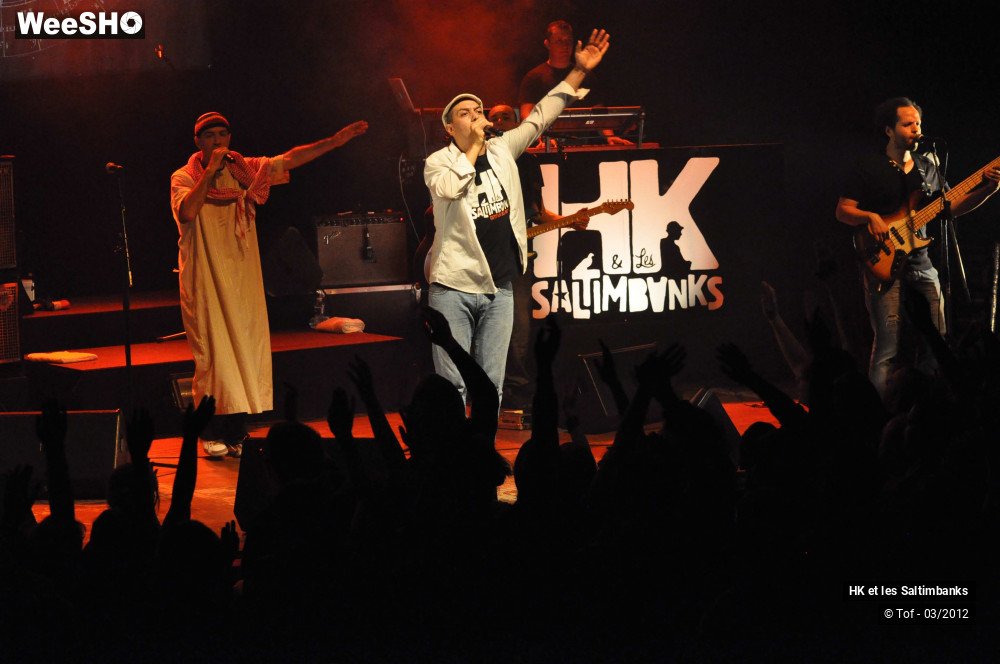 37/50 photos du spectacle HK et les Saltimbanks