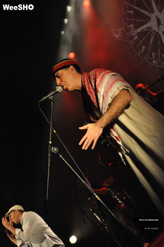 42/50 photos du spectacle HK et les Saltimbanks