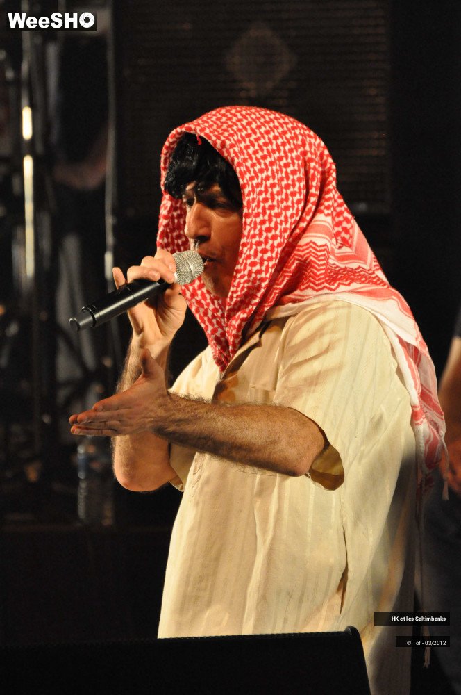 45/50 photos du spectacle HK et les Saltimbanks