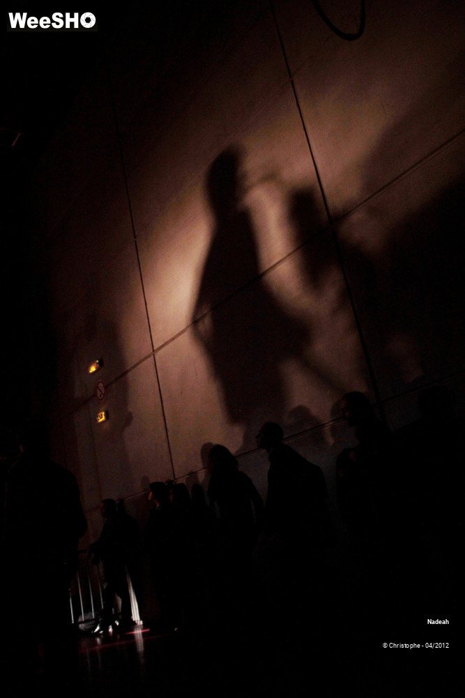 26/50 photos du spectacle Nadéah