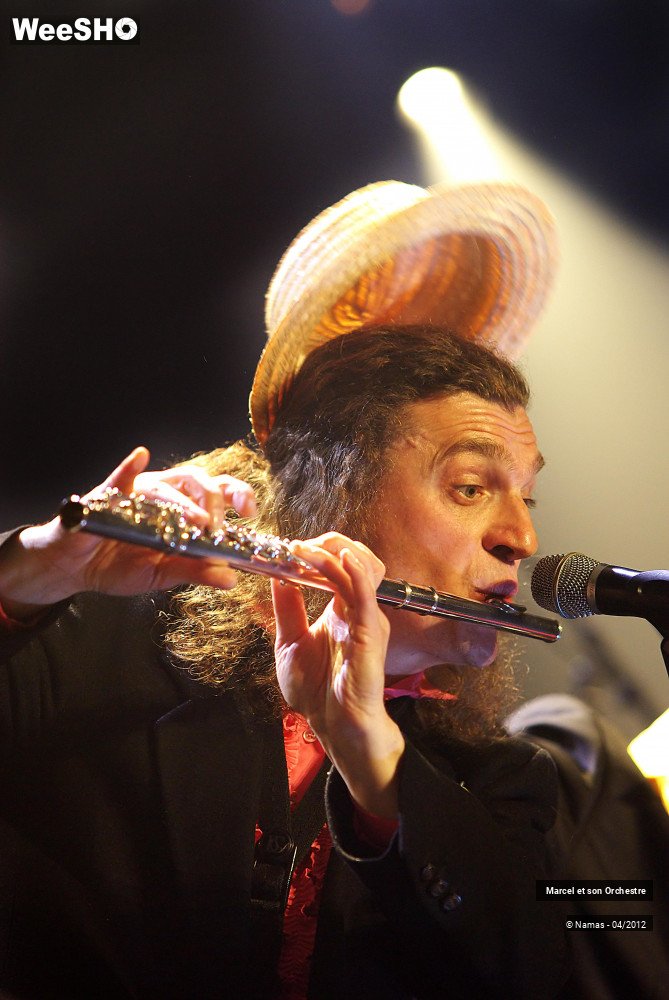 20/29 photos du spectacle Marcel et son Orchestre acoustique