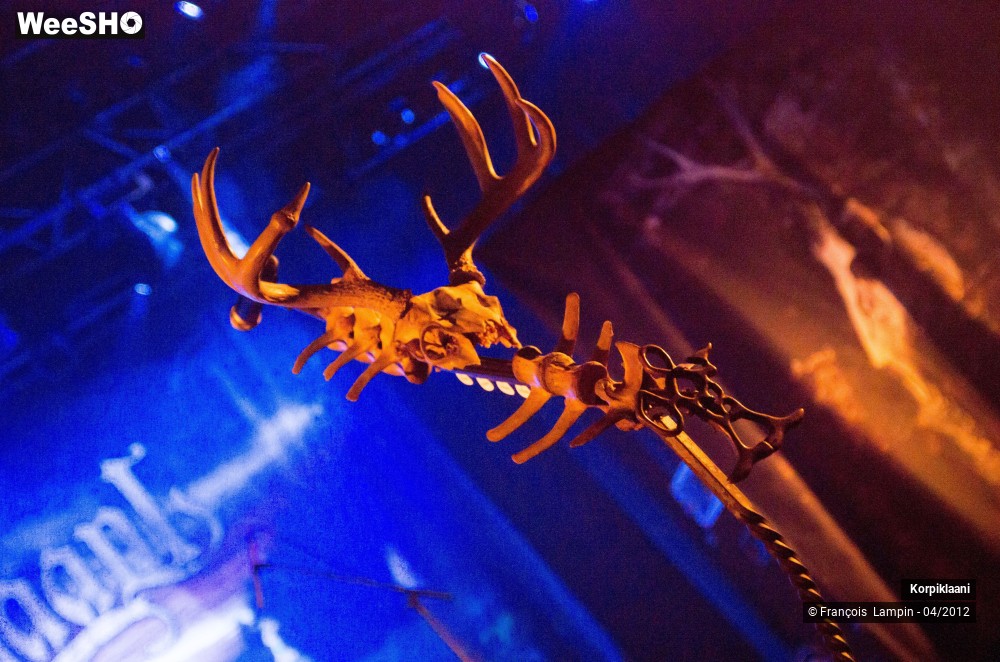 13/29 photos du spectacle Korpiklaani