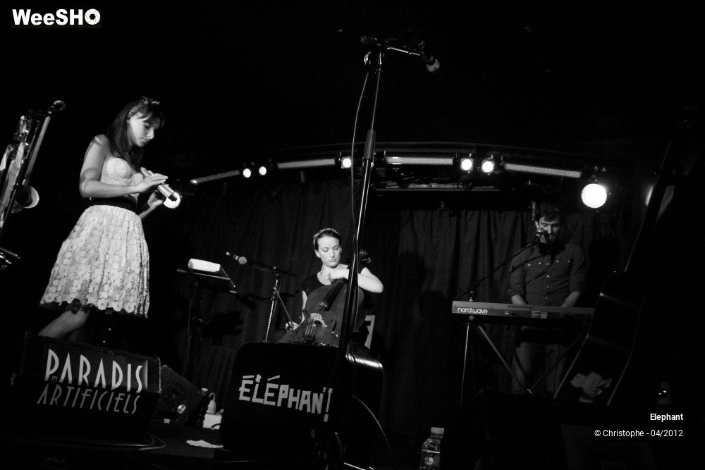 7/47 photos du spectacle Elephant