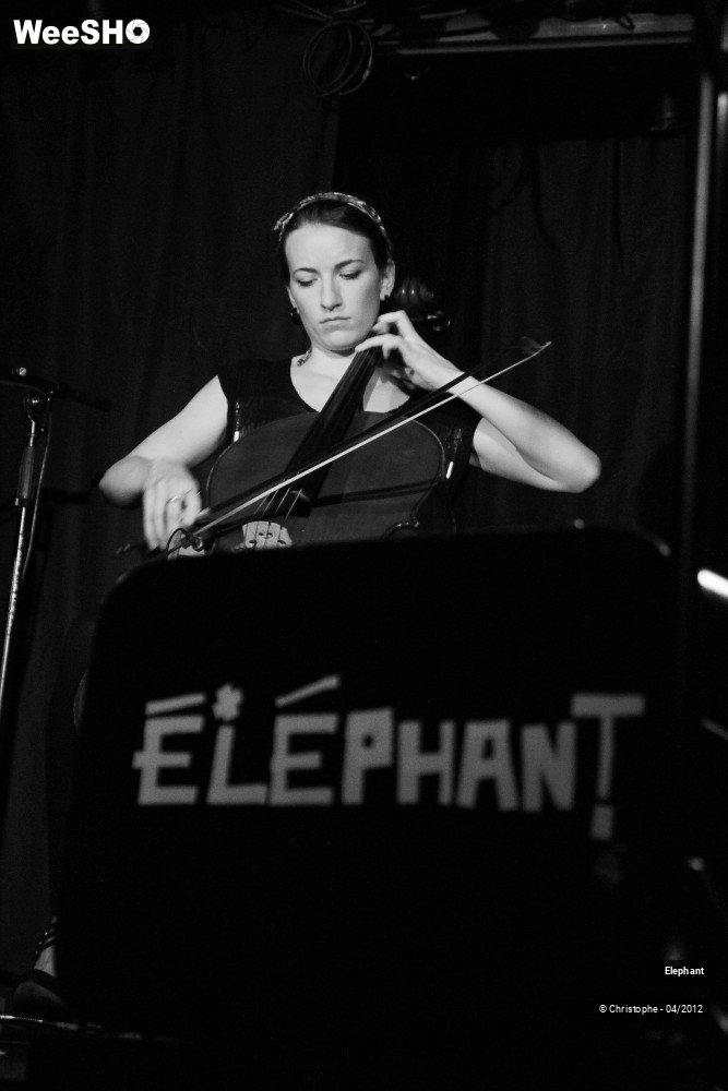 28/47 photos du spectacle Elephant