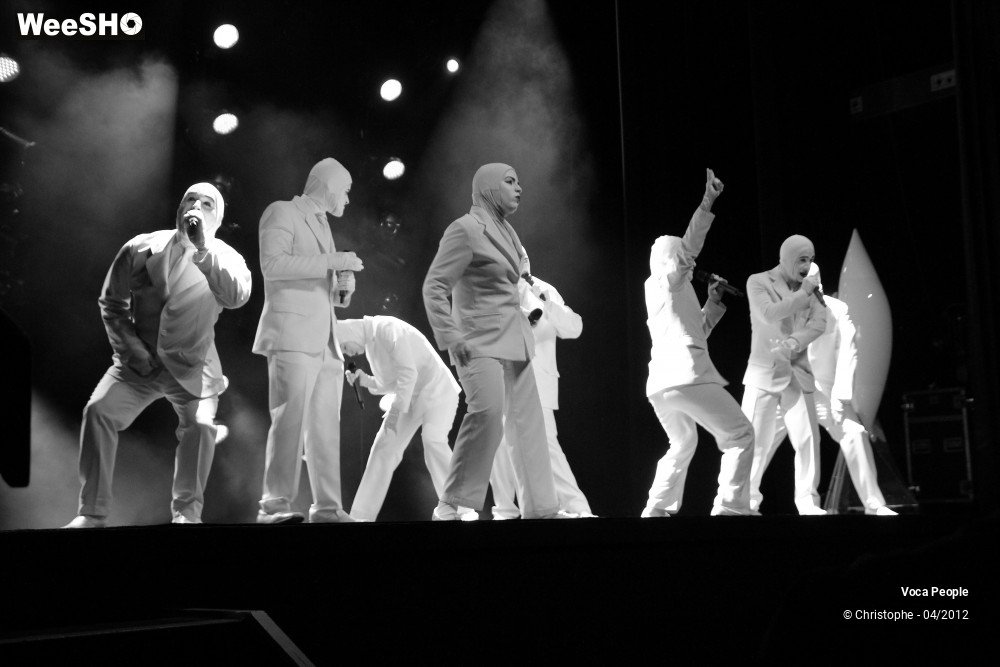 8/44 photos du spectacle Voca People