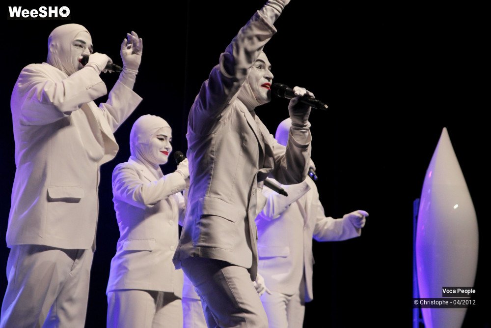 12/44 photos du spectacle Voca People