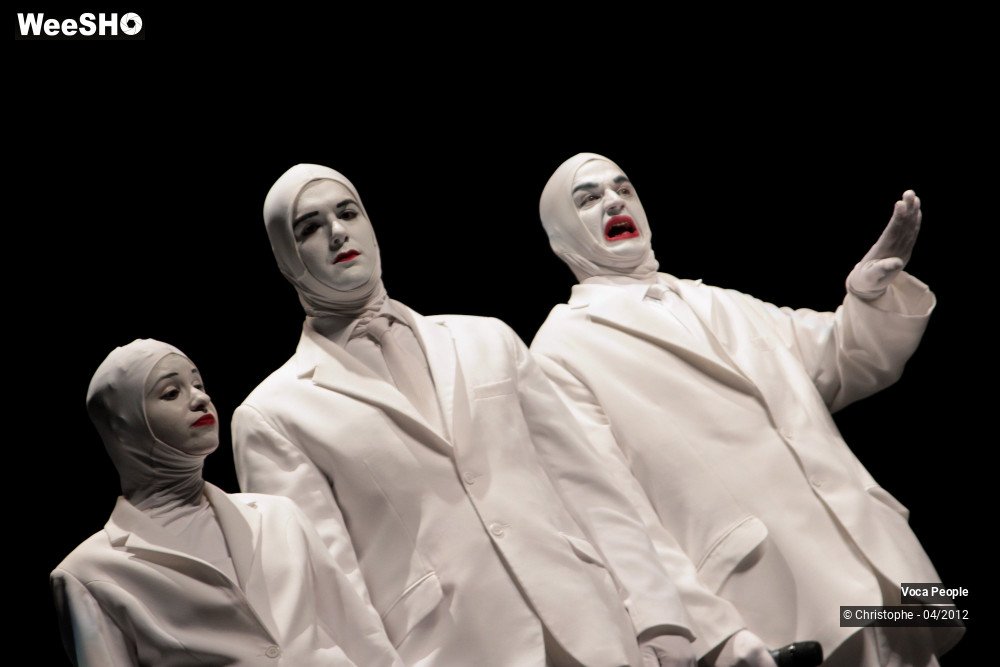 14/44 photos du spectacle Voca People