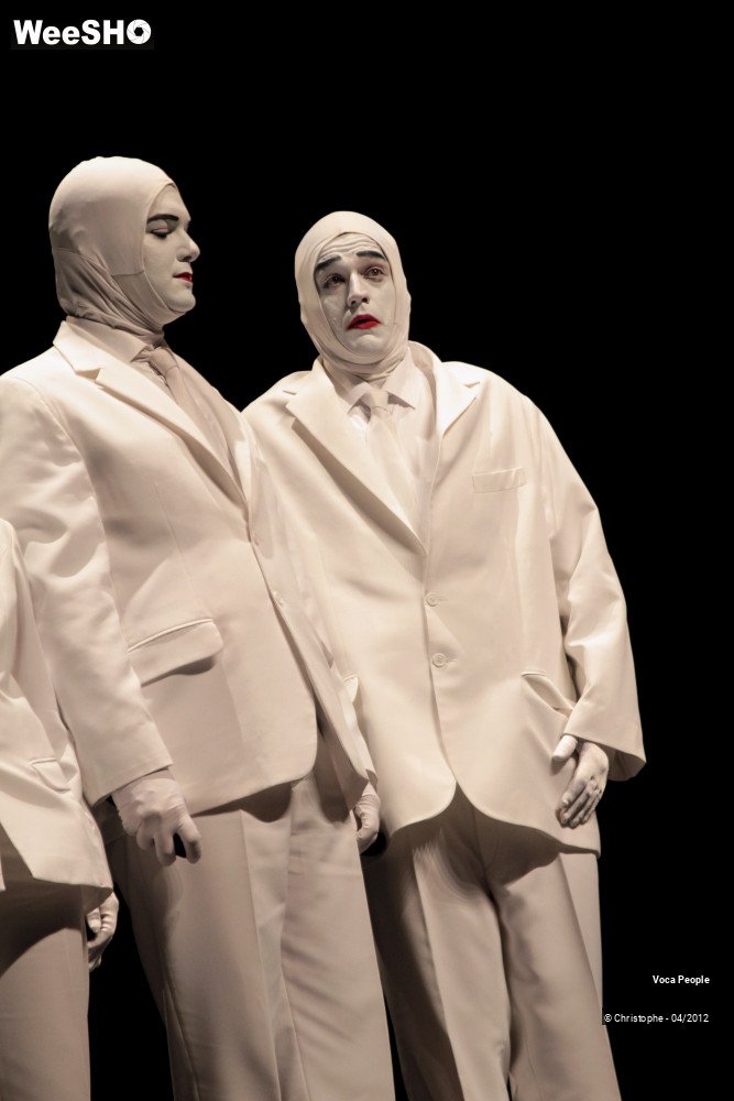 19/44 photos du spectacle Voca People