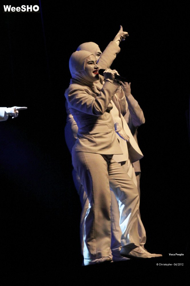 22/44 photos du spectacle Voca People