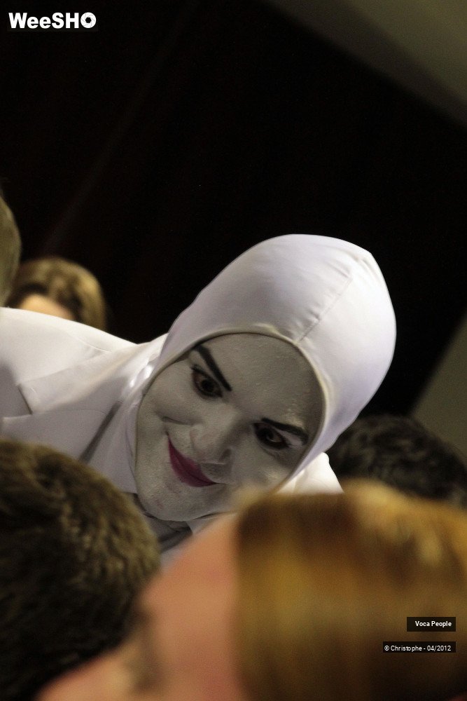 26/44 photos du spectacle Voca People