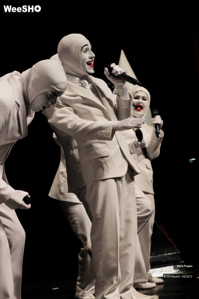 29/44 photos du spectacle Voca People