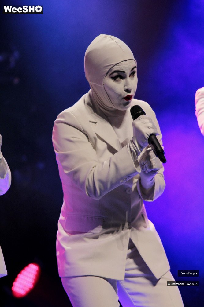 33/44 photos du spectacle Voca People