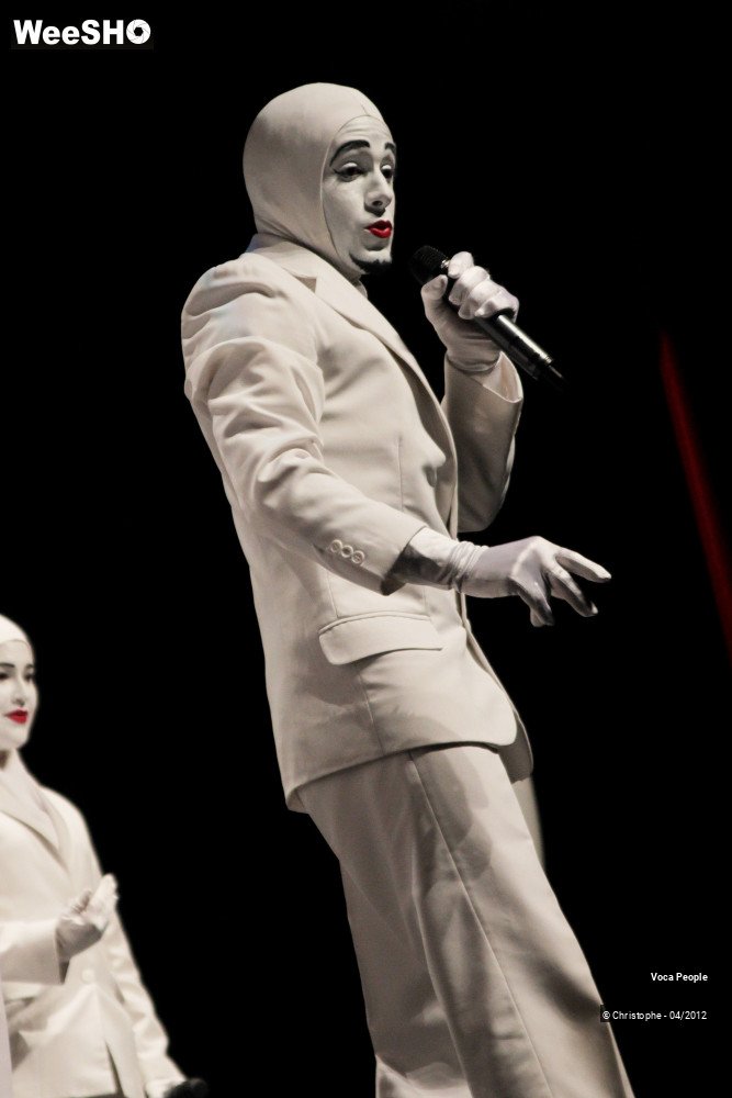 34/44 photos du spectacle Voca People