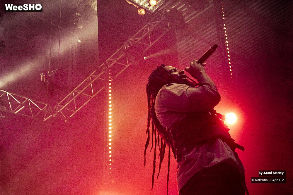 3/34 photos du spectacle Ky-Mani Marley