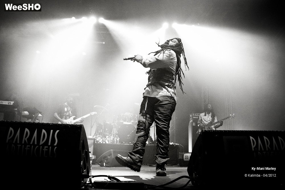 10/34 photos du spectacle Ky-Mani Marley