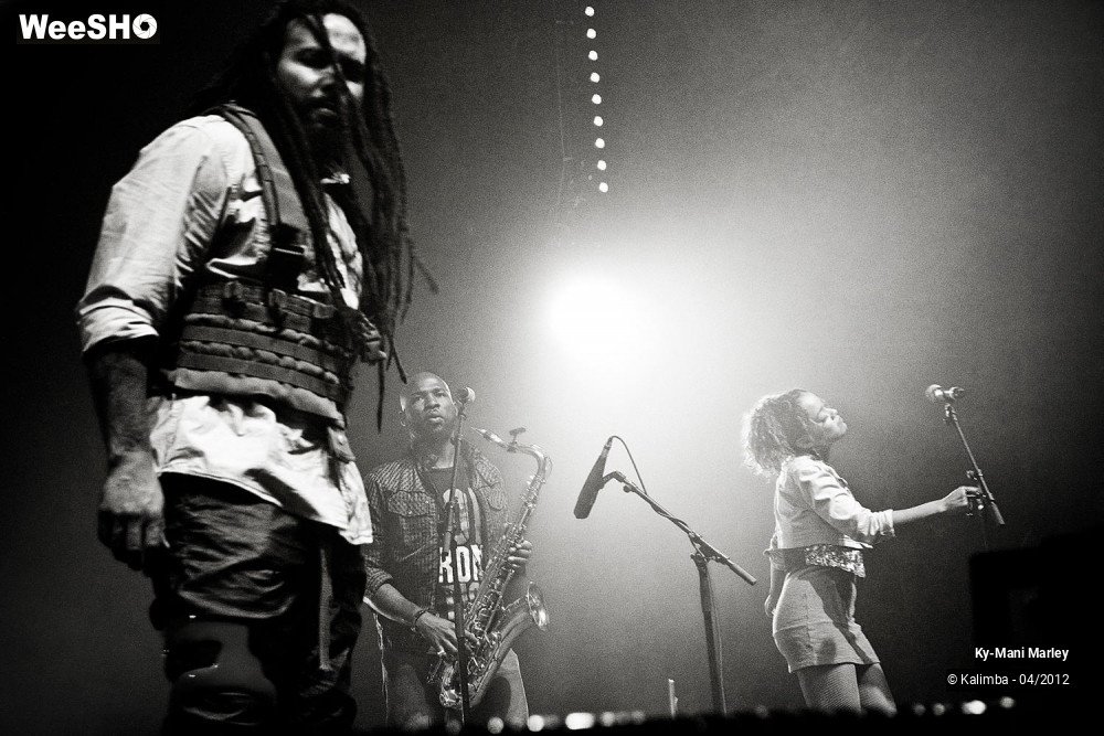 11/34 photos du spectacle Ky-Mani Marley