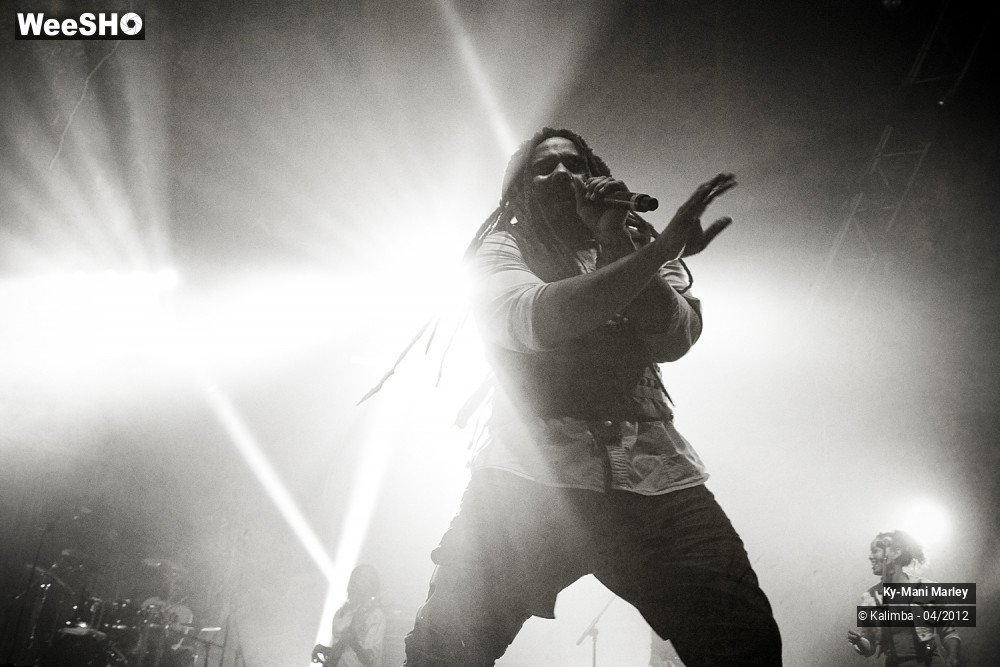 13/34 photos du spectacle Ky-Mani Marley