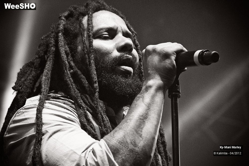 17/34 photos du spectacle Ky-Mani Marley