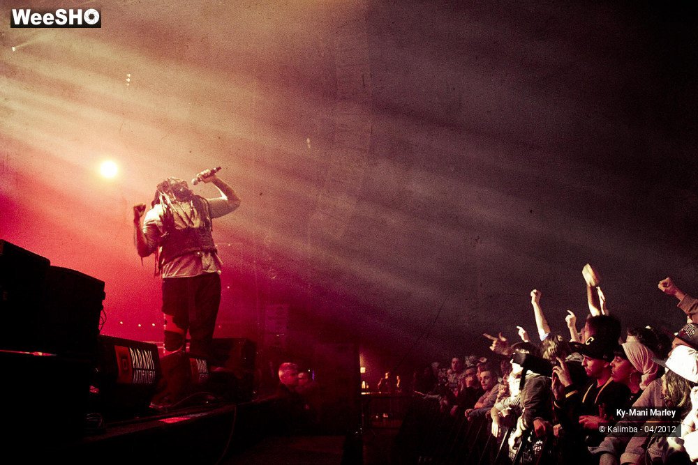 18/34 photos du spectacle Ky-Mani Marley