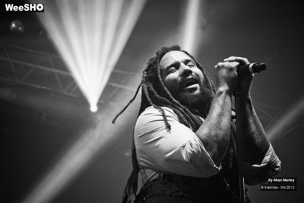 21/34 photos du spectacle Ky-Mani Marley