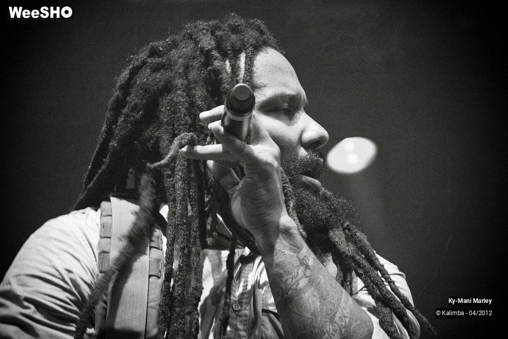 23/34 photos du spectacle Ky-Mani Marley