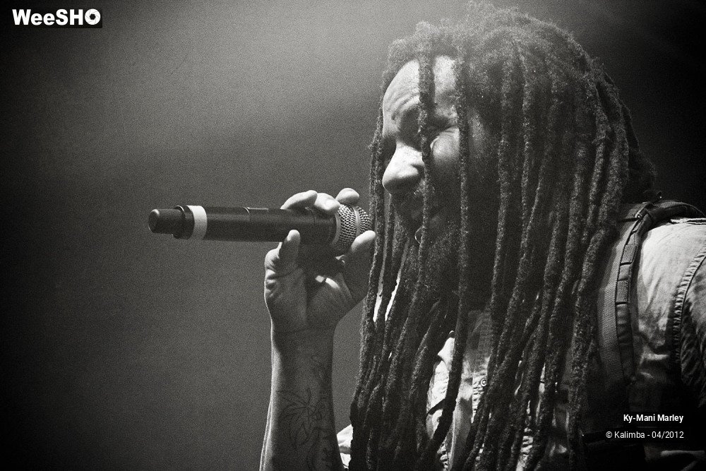 24/34 photos du spectacle Ky-Mani Marley
