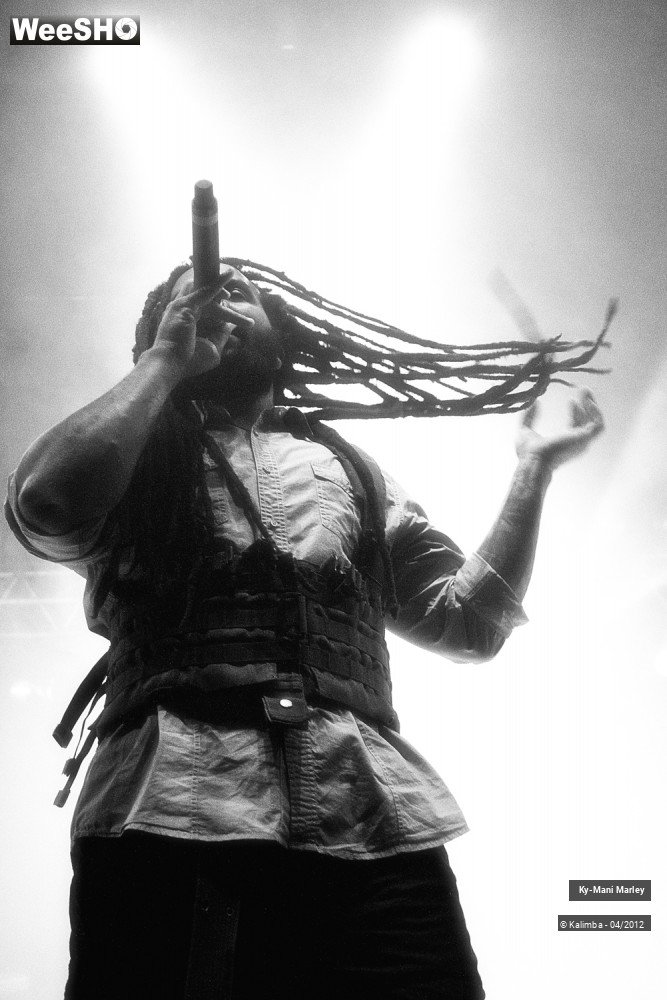 26/34 photos du spectacle Ky-Mani Marley