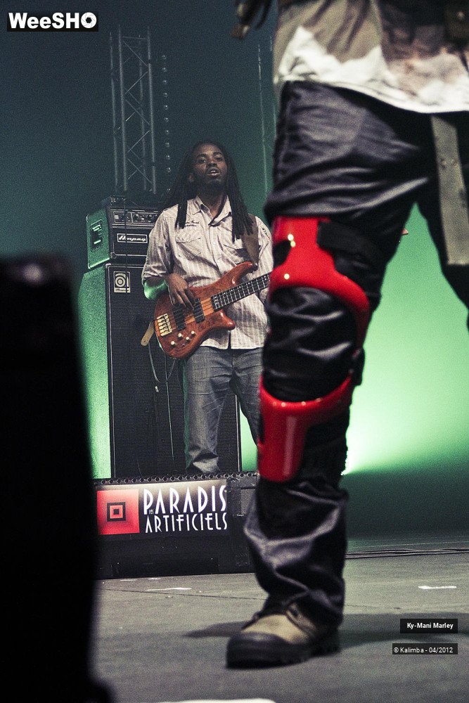 27/34 photos du spectacle Ky-Mani Marley