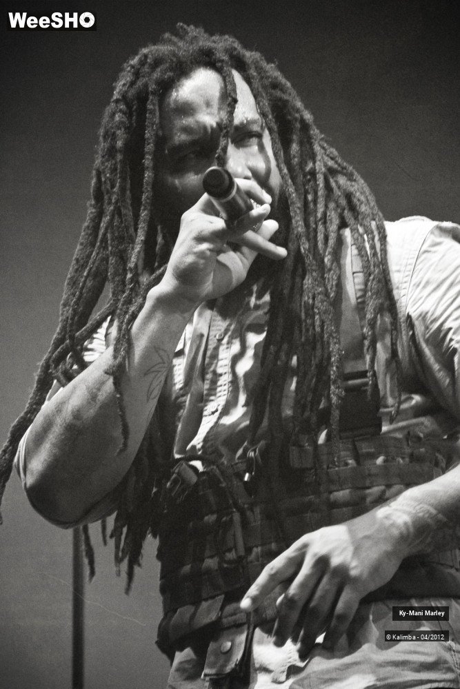 28/34 photos du spectacle Ky-Mani Marley